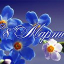 ���� ����, ������, 73 ���� - ��������� 26 ������ 2015 � ������ �������� ��������