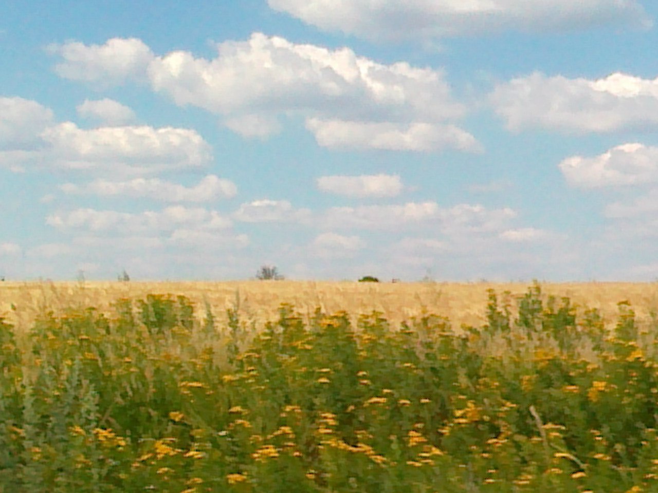   - 29  2015  21:59 - 4