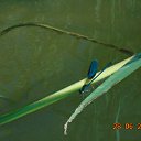 ���� ����, ���������, 50 ��� - ��������� 29 ���� 2015 � ������ �������� ������ � ��������