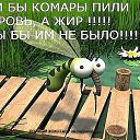  ,  -  26  2015    