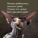 ���� �������, ������� - ��������� 22 �������� 2015 � ������ ������ ��������