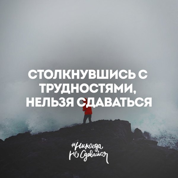  -   - 16  2015  22:01