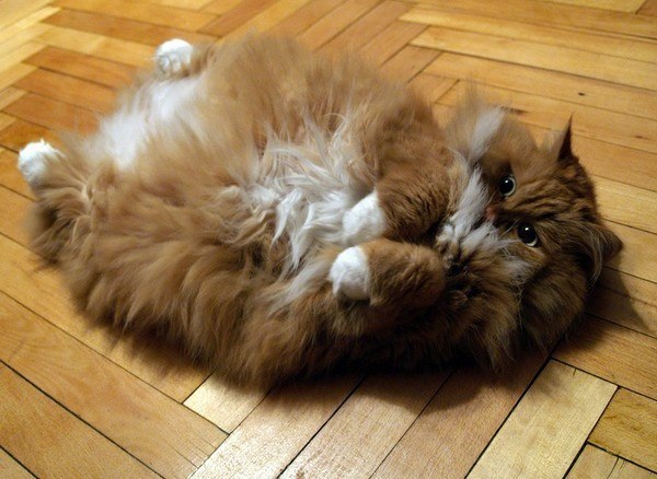  :3