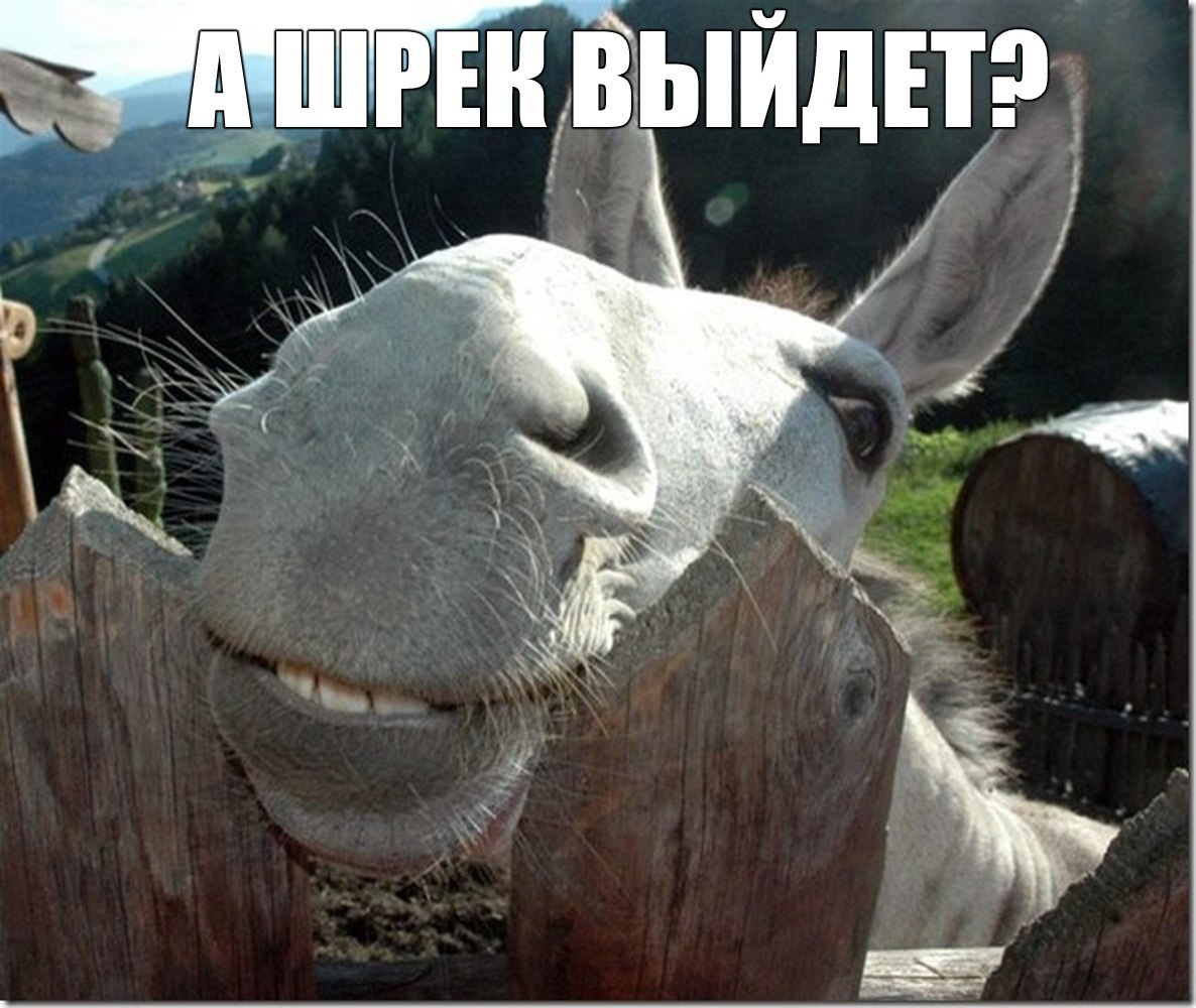    :D - 11  2015  11:47