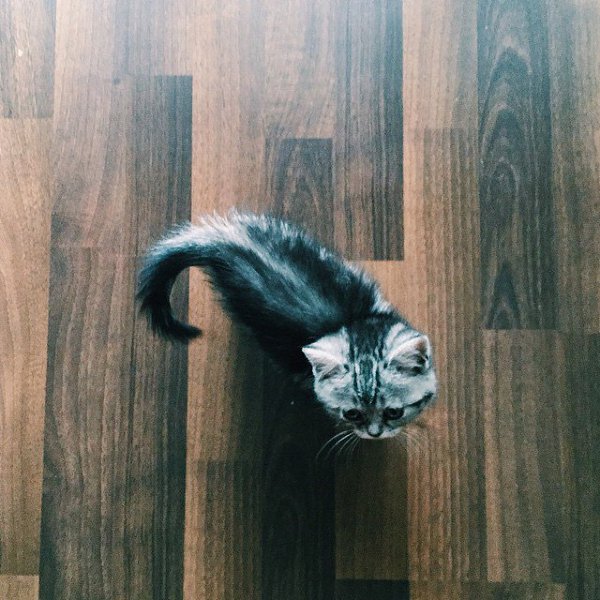 *** - 20  2015  03:51