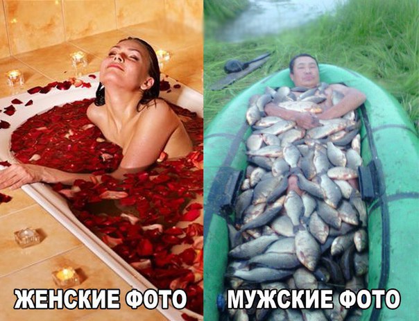    :D - 20  2015  18:46