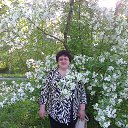 ���� �������, ����-�����������, 71 ��� - ��������� 13 ���� 2015 � ������ ���� ����������