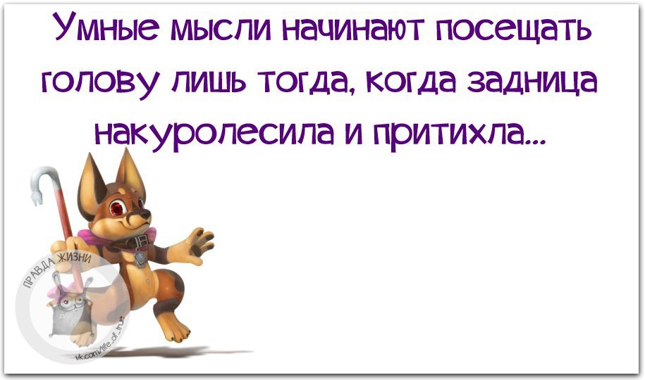 Начинать посетить. Умные мысли начинают посещать голову лишь тогда когда. Фразы в картинках накуролесила. Мысль начало всего. Алиса Хардакова.