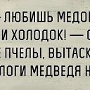 ���� ������, ����� - ��������� 1 ������� 2015 � ������ ������ ��������