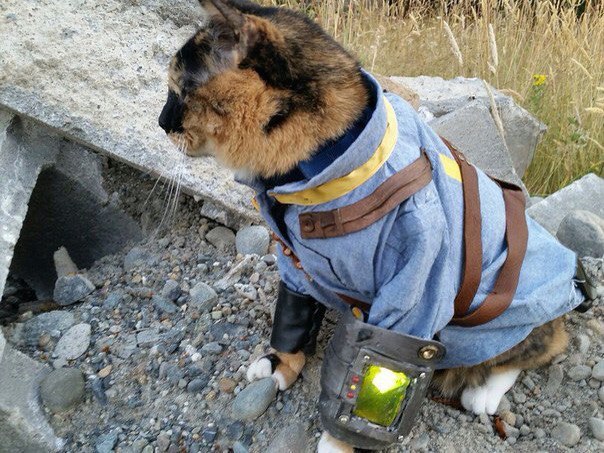     Fallout 4