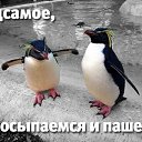 ���� �����, ���������, 44 ���� - ��������� 31 ���� 2015 � ������ ������ ��������