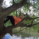 ���� �����, �������, 55 ��� - ��������� 17 ��� 2015 � ������ ���� ����������