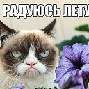  ,  -  25  2015    