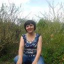 ���� ��������, ������������ - ��������� 8 �������� 2015 � ������ ���� ����������