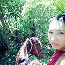  , -, 33  -  13  2015    