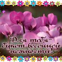 ���� �����, ������� - ��������� 25 ������ 2015 � ������ �������� ��������