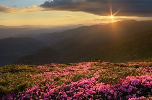    , .#@travel.blog