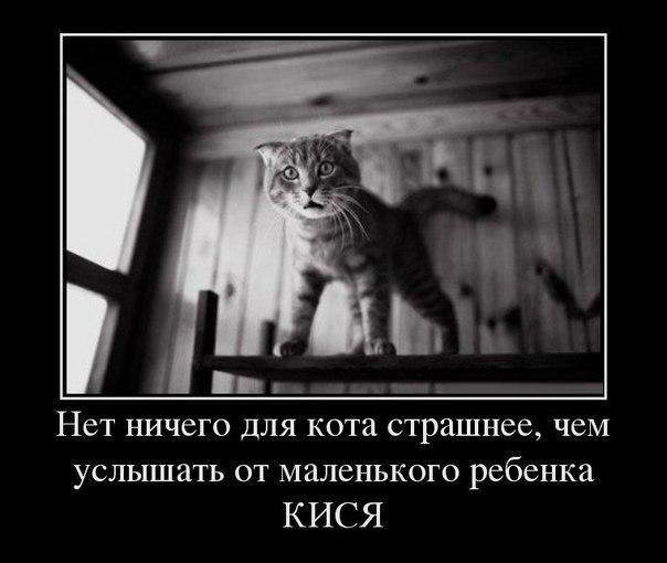     - 2  2015  06:01