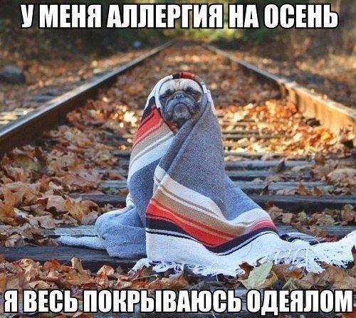 ... :)
