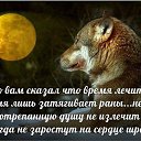 ���� ������, ��������������, 54 ���� - ��������� 21 ������� 2015 � ������ ������ ��������