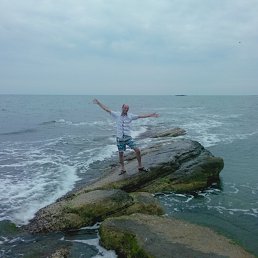 ���� �����, ����������, 44 ���� - ��������� 10 ���� 2015