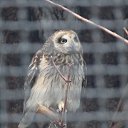 ���� ������, ������, 41 ��� - ��������� 30 ������ 2015 � ������ ������ ��������