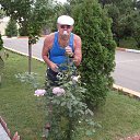 ���� ������, ������, 67 ��� - ��������� 10 ���� 2015 � ������ ������ �� ������ ����!�