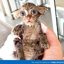 ���� ��������, ������ - ��������� 5 ���� 2015 � ������ ������ ��������