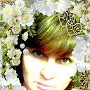 ���� ����, ������ - ��������� 8 ������� 2015 � ������ ���� ����������