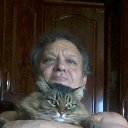 ���� �������, ������, 65 ��� - ��������� 17 ��� 2015 � ������ ���� ����������