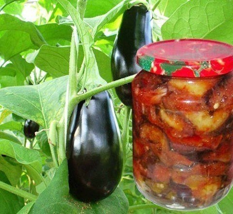  -. -  - 3  -    (!) -1  -   ...