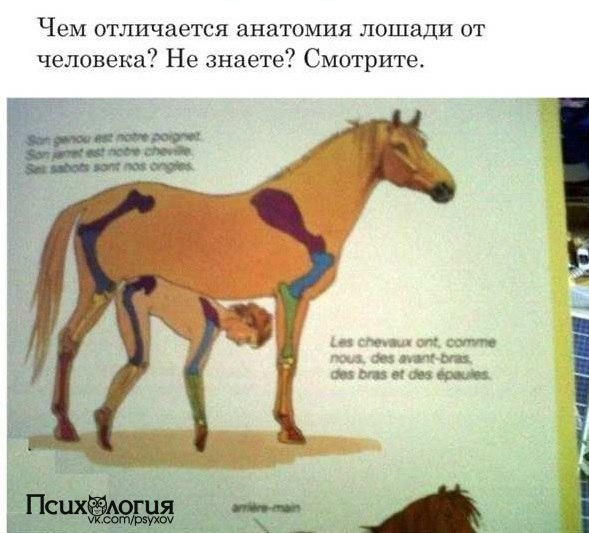 Иногда создатели детских книг не думают о том, как их продукт выглядит со стороны - 3