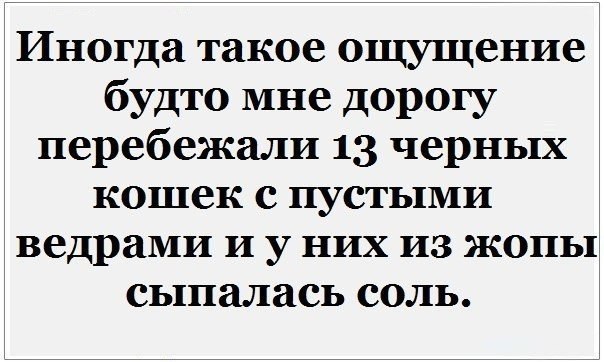 Art & Fun - 15  2015  04:38