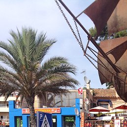 ����, ������, 36 ���