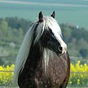 ���� Vladimip, �����������, 60 ��� - ��������� 29 ���� 2015 � ������ ������ ��������