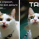 ���� Rustam, ������, 44 ���� - ��������� 21 ���� 2015