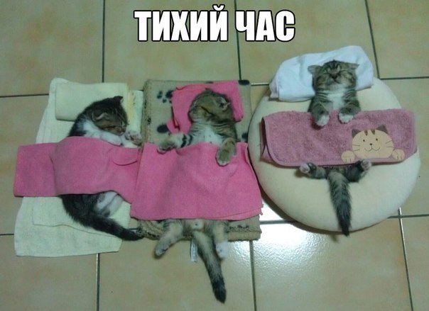 ��� ���� � ����� �� �� - 5 ���� 2015 � 01:02