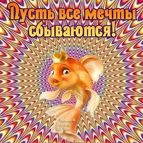   -  .