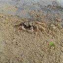 ������ �� �����...�.������ �� ������� ���� ����������