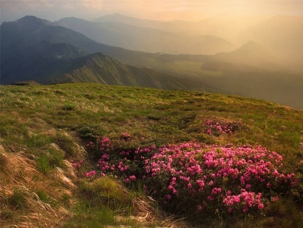    , .#@travel.blog - 5