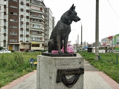 В 1995 году под Тольятти произошла автомобильная авария, в результате которой все люди погибли, но ...
