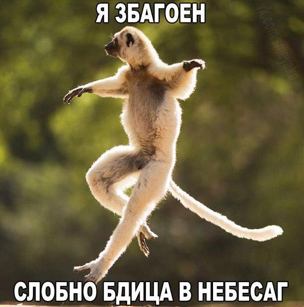    :D - 6  2015  19:29