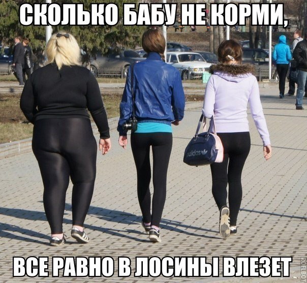  - 31  2015  12:40