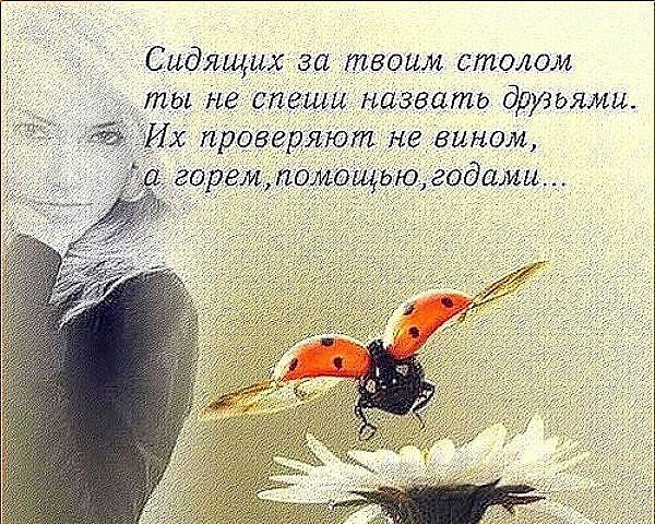 Хочешь читать каждый день новые избранные цитаты , вступай к нам в группу - fotostrana.ru/vseznau - ...