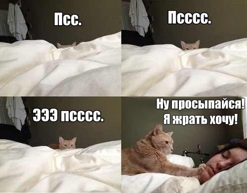    :D - 22  2015  03:39
