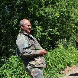 ���� ���������, ��������, 37 ��� - ��������� 15 ���� 2015