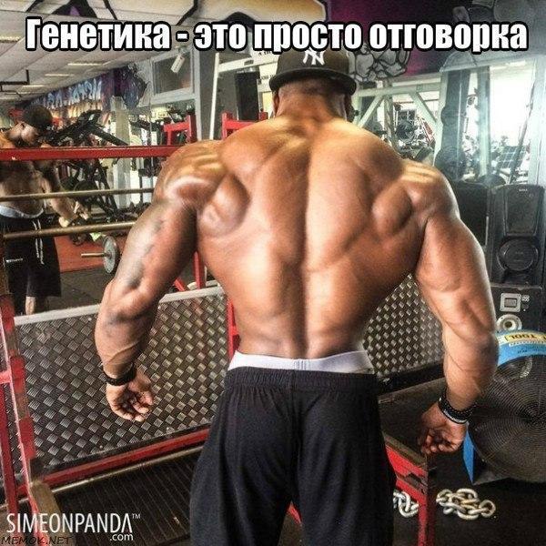  -   - 26  2015  13:08