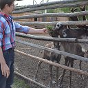  , , 62  -  16  2015   - ..  2015 .