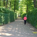 ���� �����, ������������ - ��������� 12 ���� 2015 � ������ ���� ����������