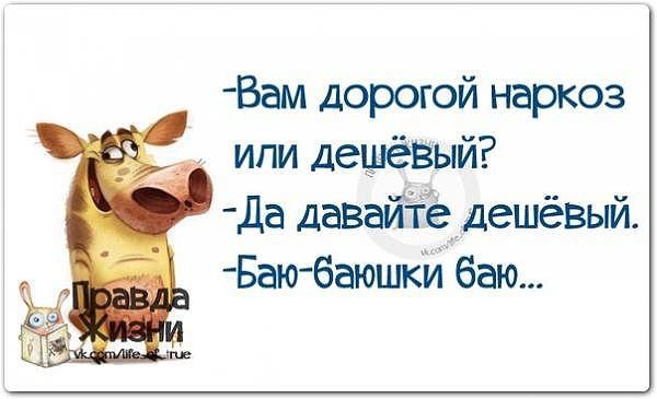  (  ) - 23  2015  15:44 - 3